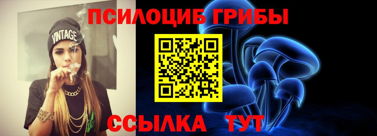 сколько стоит  Вход с VPN  Протвино  Галлюциногенные грибы Psilocybine cubensis 
