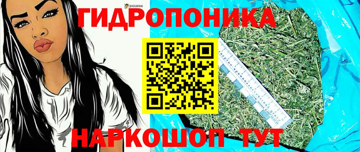 Каннабис Bruce Banner  Бошки марихуана марихуана  Вход с VPN  Бошки марихуана Amnesia  Протвино 